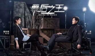 娱乐圈题材 电影,娱乐圈风云录