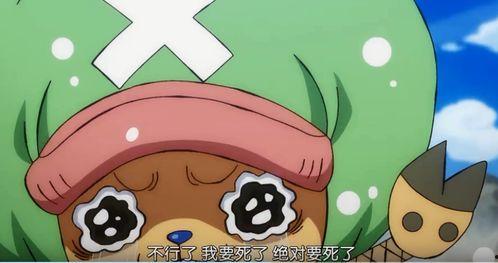 乔巴表情包,萌态可掬，治愈力MAX的治愈系萌宠